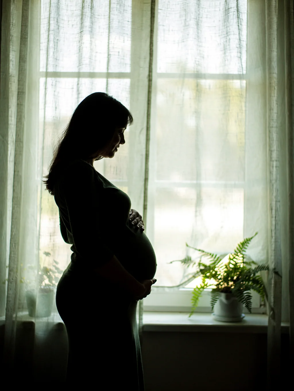 Maternity silhouette by a window